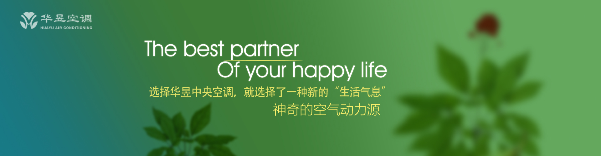 骨寒毛竖网